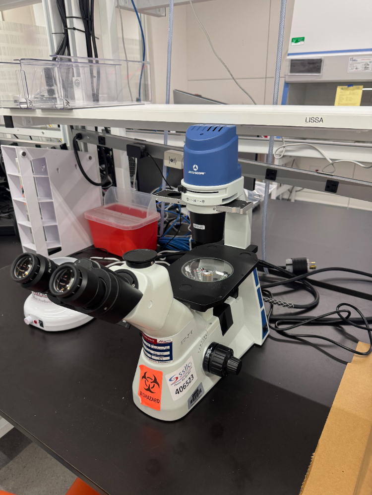 Image of Accu-Scope EXI-310 Inverted Microscope
